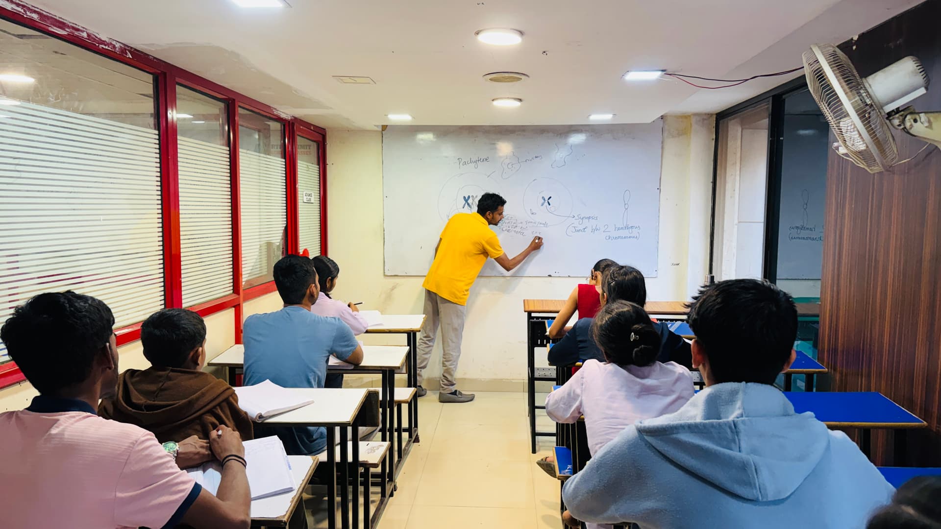 Testimonial Background